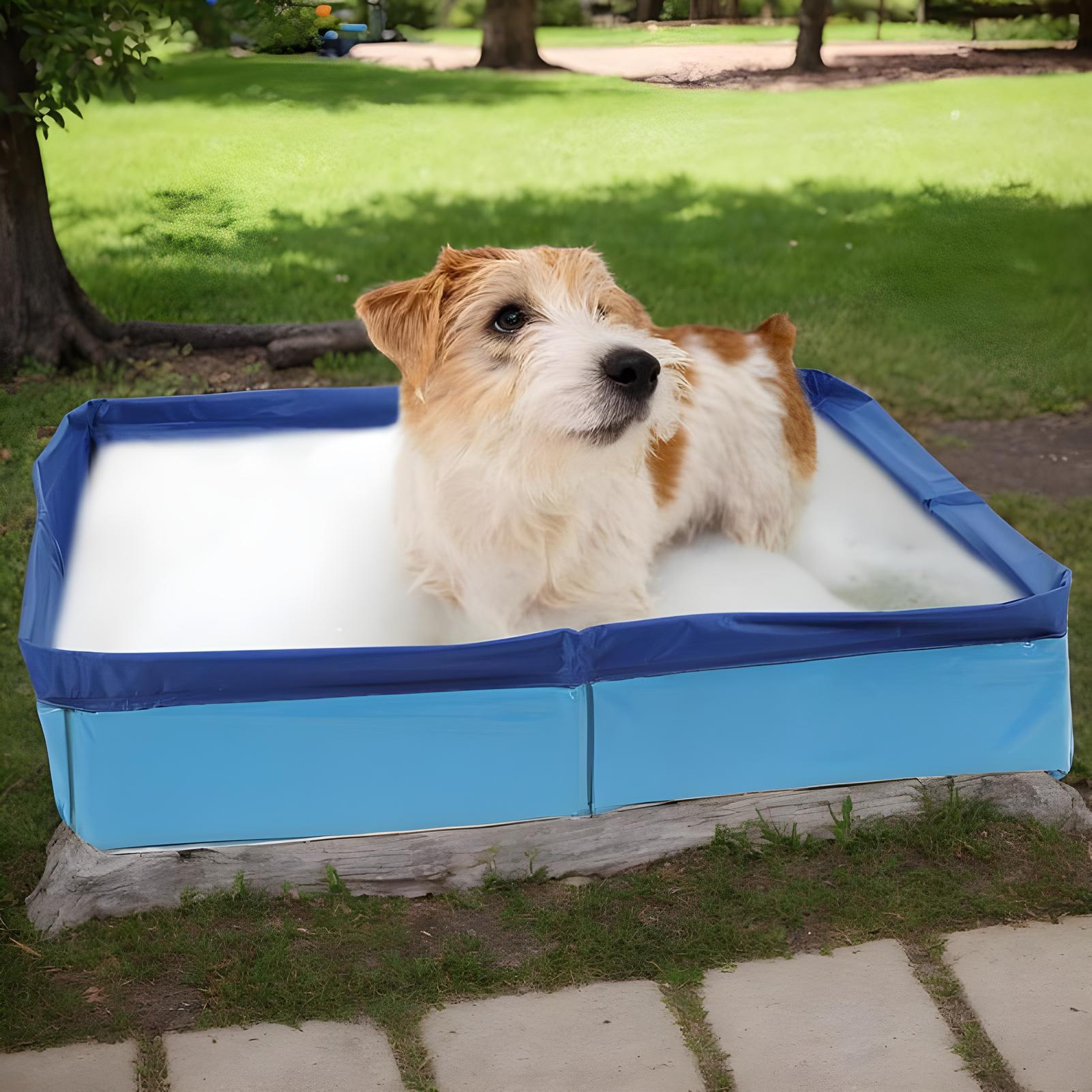 Piscina plegable de PVC de 50x - Kids Toys Deals reseña y precio